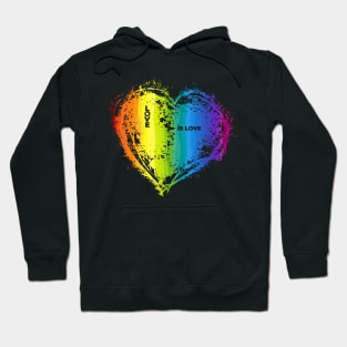 love is love Hoodie